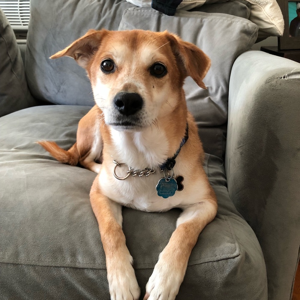 Meet your Posher, Amandamanda